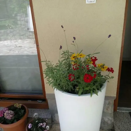Apartment Little House Matulji